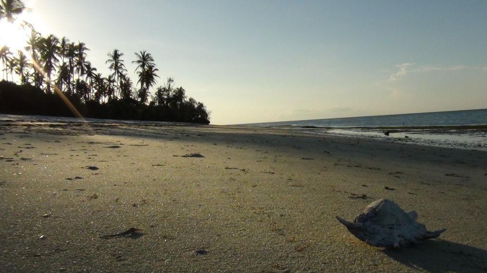 Ras Mbisi Lodge Kilindoni Buitenkant foto